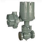 ������ǰ